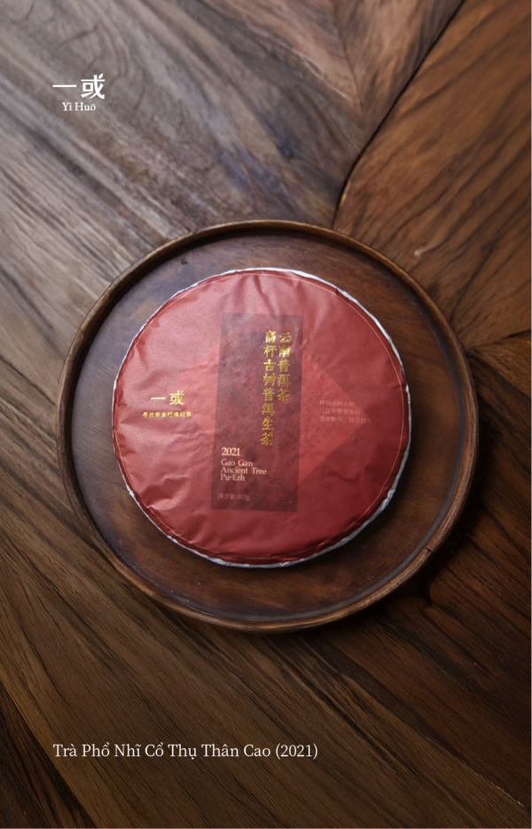 Trà Phổ Nhĩ Cổ Thụ Thân Cao 2021 - 357g