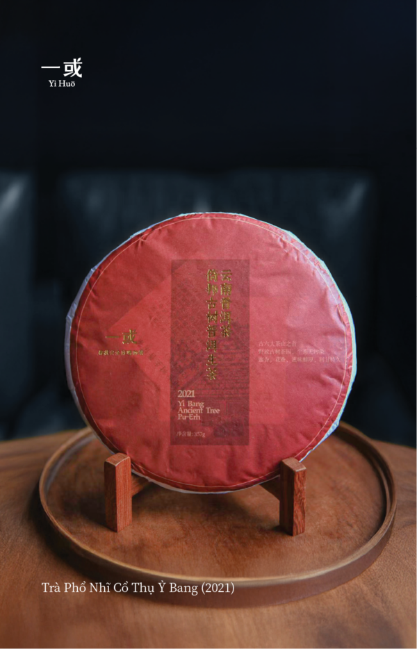 Trà Phổ Nhĩ Cổ Thụ Ỷ Bang 2021 - 357g